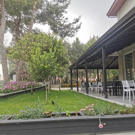 Hotel Pelikan Divjake Bagian luar foto